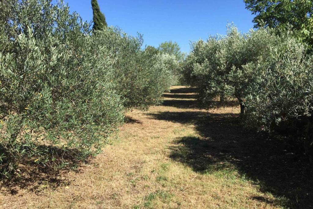 Bastide Derroc Villa Cotignac Bagian luar foto